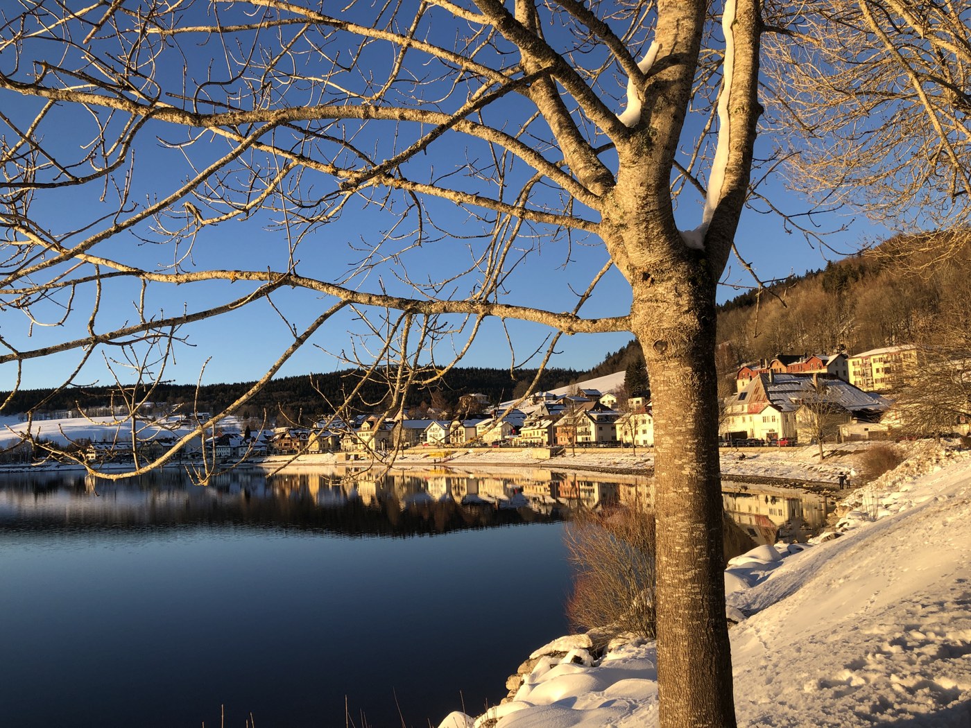 雪のあるジュウ湖畔とル・ポンの集落